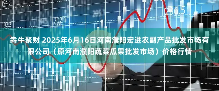 犇牛聚财 2025年6月16日河南濮阳宏进农副产品批发市场有限公司（原河南濮阳蔬菜瓜果批发市场）价格行情