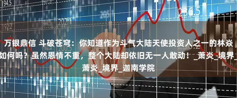 万银鼎信 斗破苍穹：你知道作为斗气大陆天使投资人之一的林焱最终结局如何吗？虽然恩情不重，整个大陆却依旧无一人敢动！_萧炎_境界_迦南学院