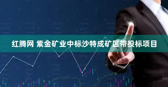红腾网 紫金矿业中标沙特成矿区带投标项目